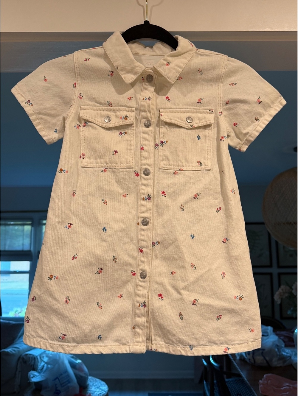 Zara Kids Floral Collard Dress size 5